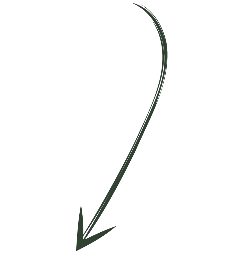 Ein dunkelgrüner, geschwungener Pfeil zeigt nach unten auf einem schwarzen Hintergrund.